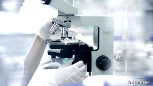 廣州化妝品代加工攻略 如何輕松挑選優質工廠與廣告設計