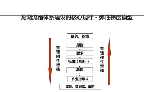 龍湖集團(tuán) 以精細(xì)化管理鍛造企業(yè)標(biāo)桿的運(yùn)營(yíng)之道