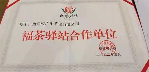 福茶驛站攜手合作企業(yè)，借僑優(yōu)勢揚(yáng)帆出海，共謀茶業(yè)新篇章